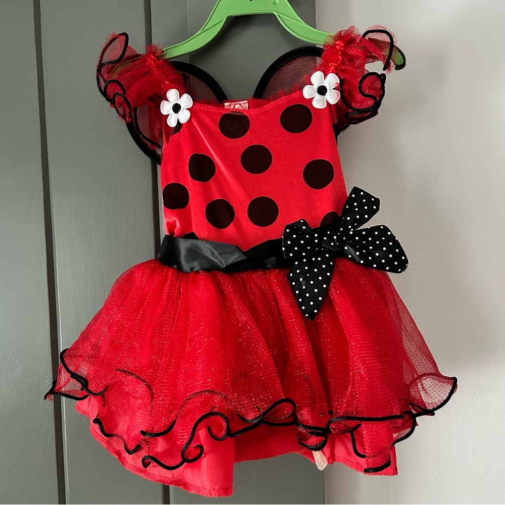Ladybug Red and Black Kids Costume